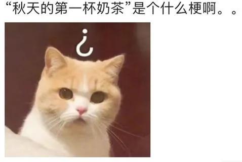 秋天第一杯奶茶你没喝过,秋天的第一杯奶茶刷爆朋友圈