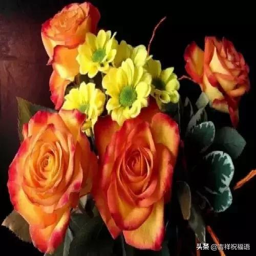 经典中的经典才是经典,经典永远堪称经典