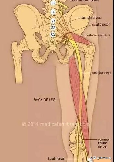病理脚麻的最快恢复方法,脚麻诊断思路