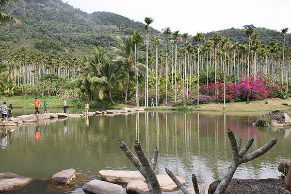 三亚旅游自由行全攻略,三亚旅游攻略自由行游记