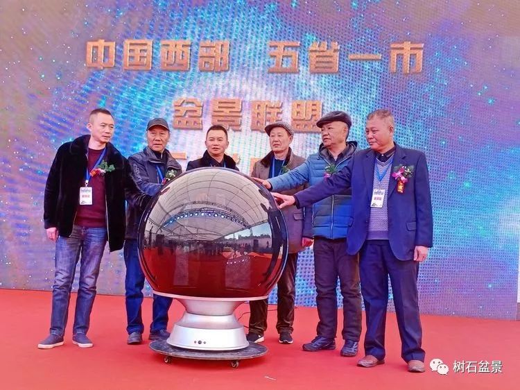 伟大使命复兴中国盆景艺术事业——2019中盆会大事回顾(下篇)