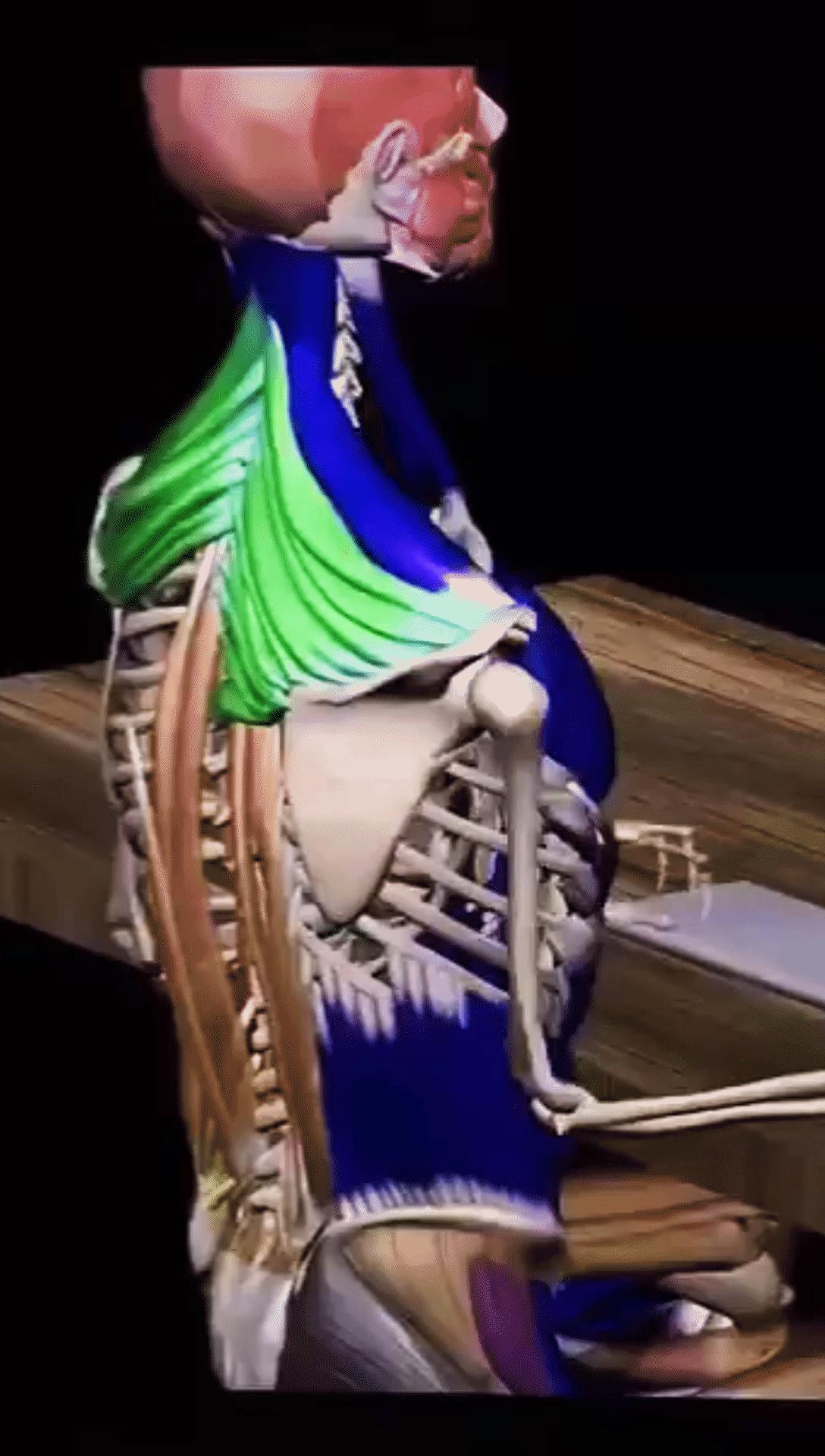 反复颈背痛是怎么回事,颈肩疼痛根治的方法