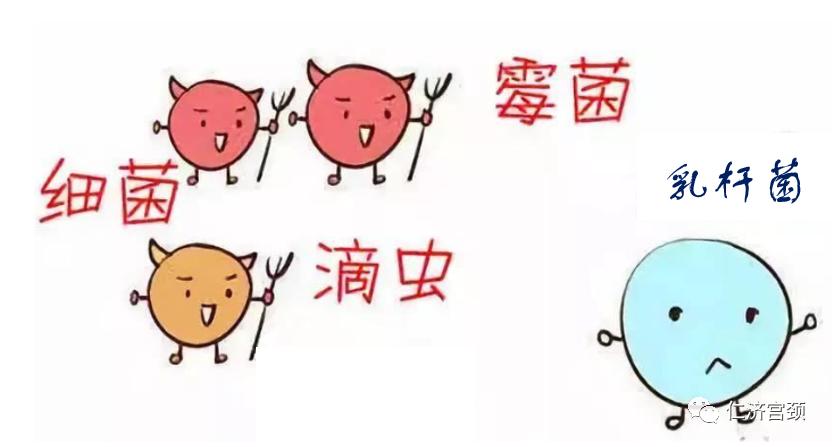 女生的难言之痒白醋可以解决吗,女生难言之痒