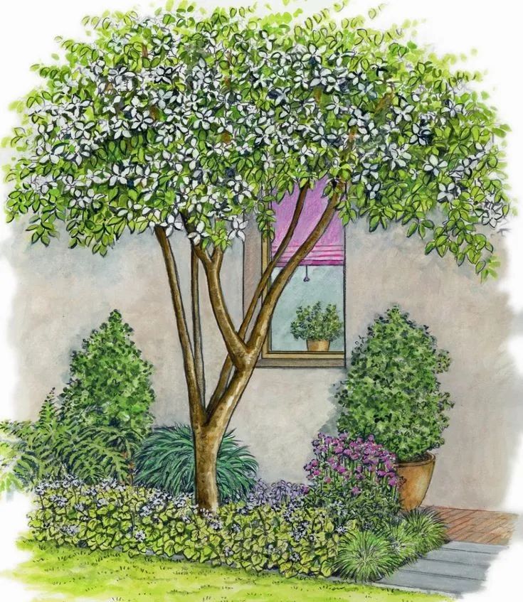 手绘清新小花园,日式庭院迷你小花园手绘