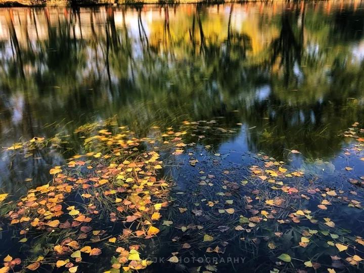 秋色正艳|掌握这6个小技巧，教你拍出绝美秋景