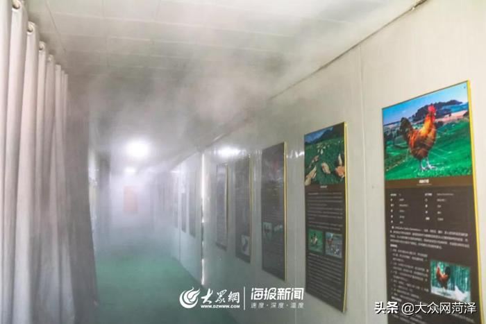 1元微力量捐款到武汉|30枚爱心鲜鸡蛋26.8元,顺丰包邮到家