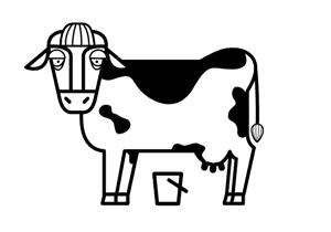 哪个地方的牛奶最好喝,中国哪个省的牛奶最好喝