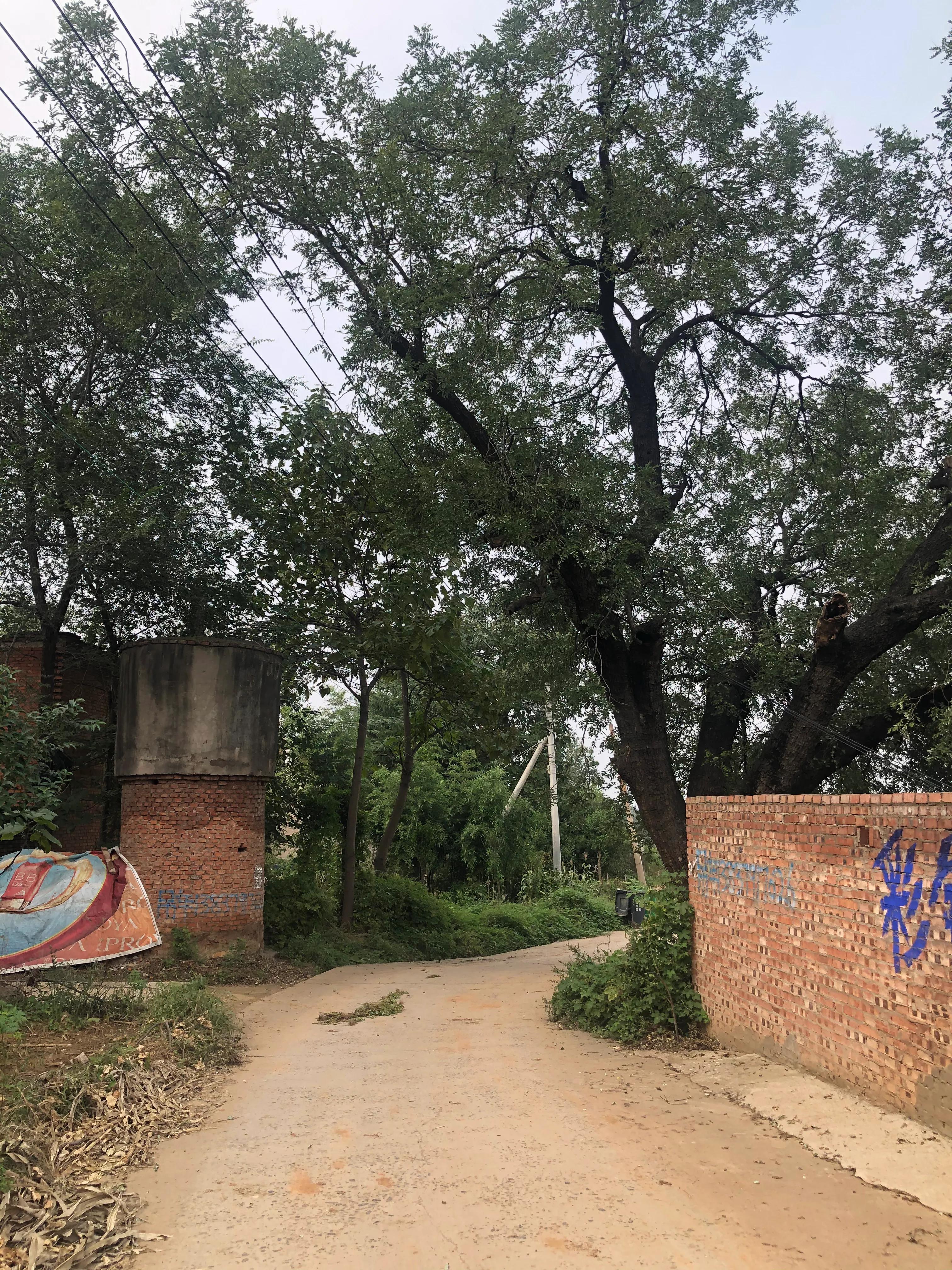 河南洛阳万安山,洛阳远眺万安山