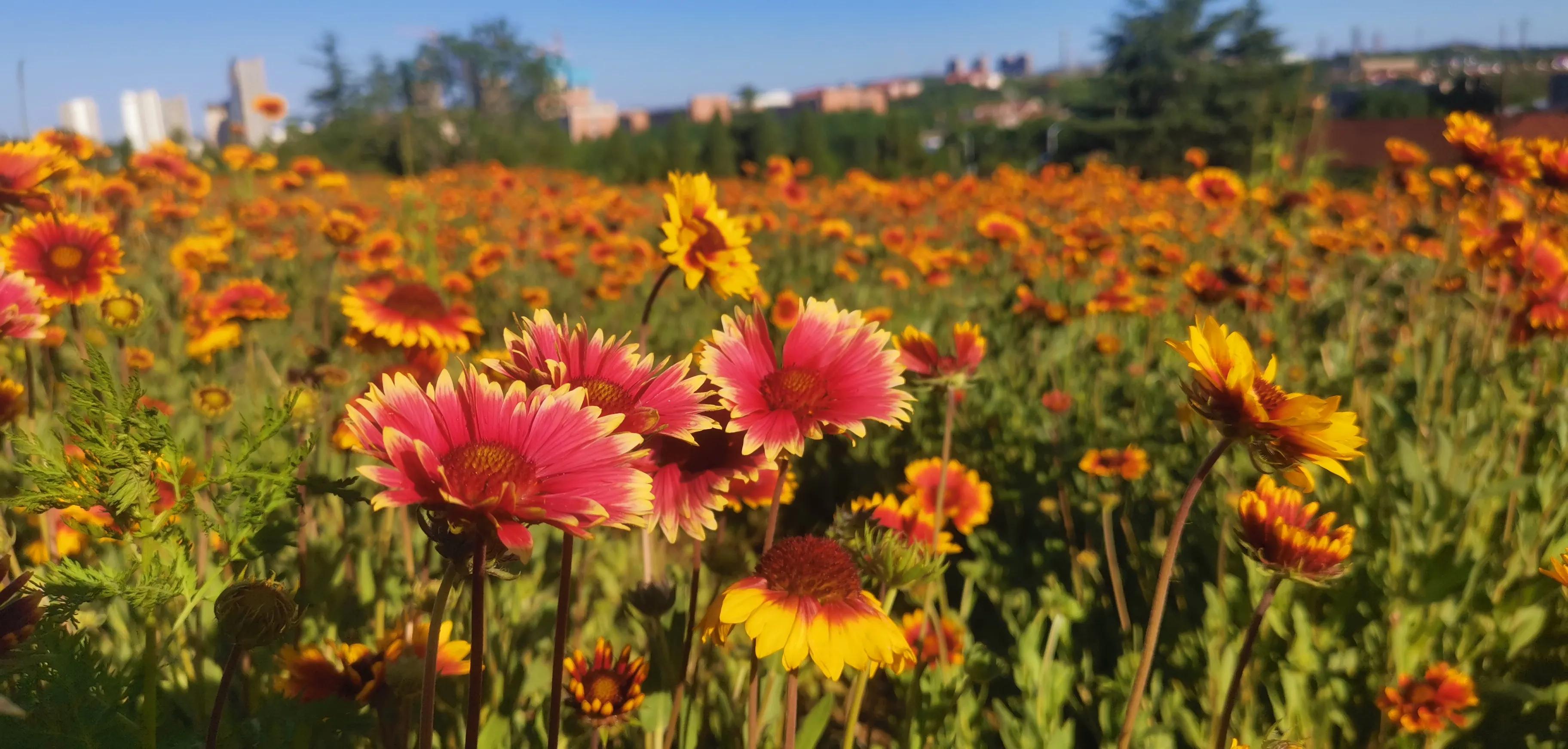 烟台福山区的生态园,我眼中福州的烟台山风景