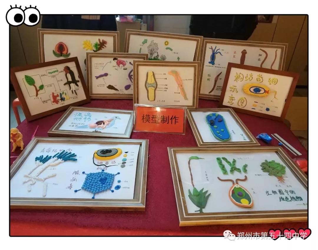 弦歌不辍五十载，上下求索奏华章——郑州市第五十四中学简介