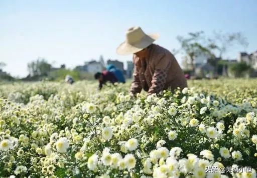 周末游玩攻略交通方式,周末游玩全攻略