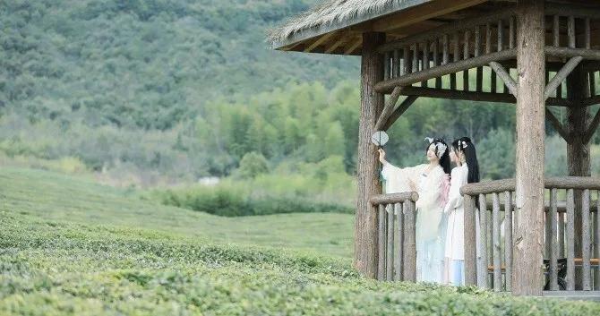 欢呼!余杭9条精品旅游线出炉!瓶窑、塘栖、中泰...太惊艳了!