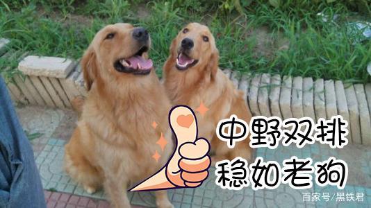 感觉自己很强,想当英雄联盟代练?先进来看看这行水有多深吧!