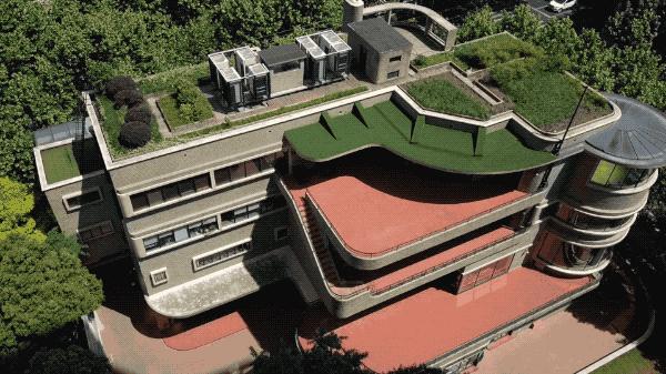 安家大结局有多少集,安家大结局解说