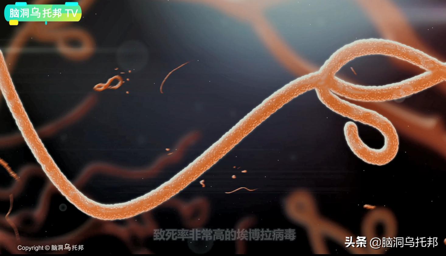 人类第一个消灭的致命病毒是什么,人类史上第一例被消灭的致命病毒