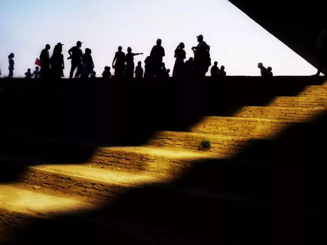 手机拍出的美照,原来用手机就能拍出这么美的照片