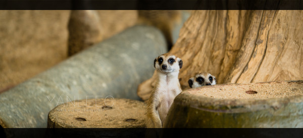 最新玩转泰国攻略,泰国旅游漫游