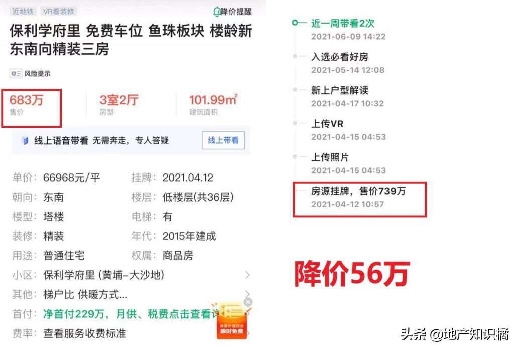 “鸽王”老黄埔终于要上新了！你还在等吗？