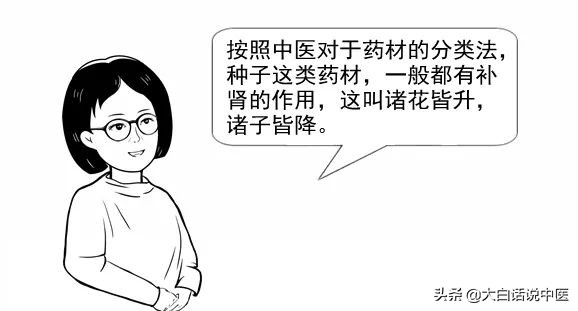 大白话说中医第十六期,中医专家谈枸杞的正确吃法