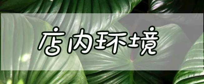 重庆正宗的美蛙鱼头火锅底,确认过眼神这就是你最爱的美食