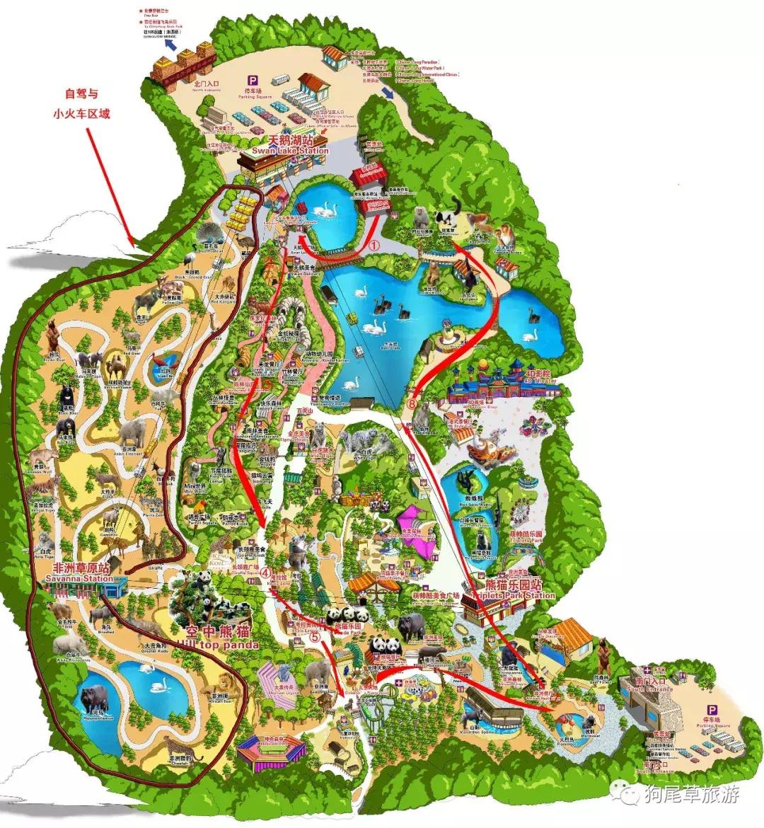 广州长隆旅游攻略野生动物园,广州长隆野生动物世界旅游攻略