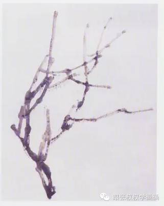 写意柿子叶的画法步骤图,徐湛写意柿子的画法