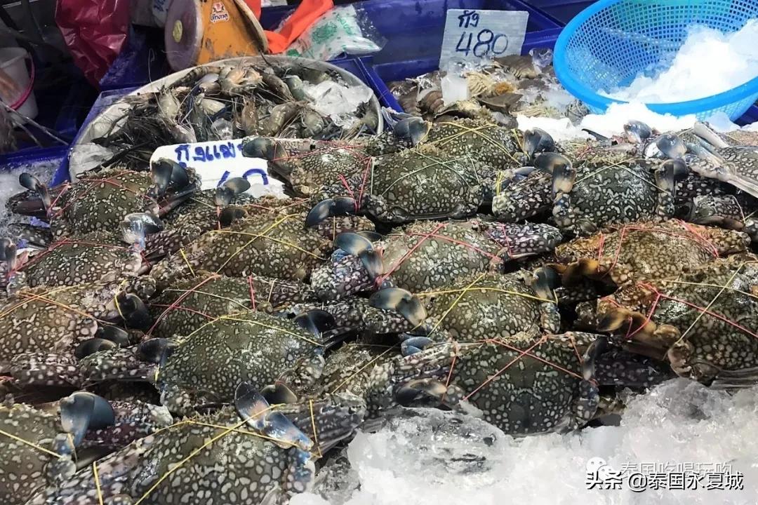 芭提雅海滩海鲜推荐,芭提雅lanpho海鲜市场