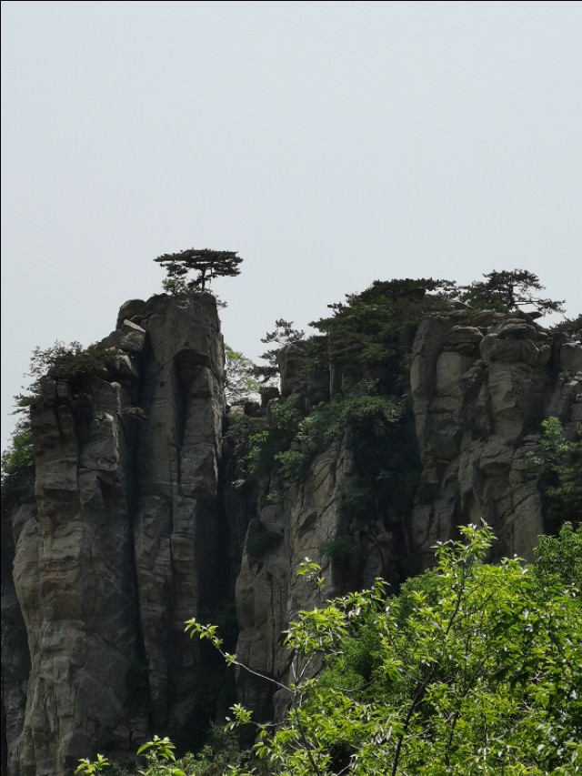 疫情下的感恩教育,疫情下孩子的心理健康教育