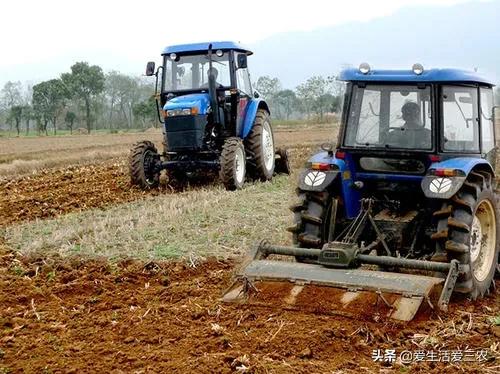 利润很吓人10个冷门农村创业项目,55到65岁在农村能创业什么项目