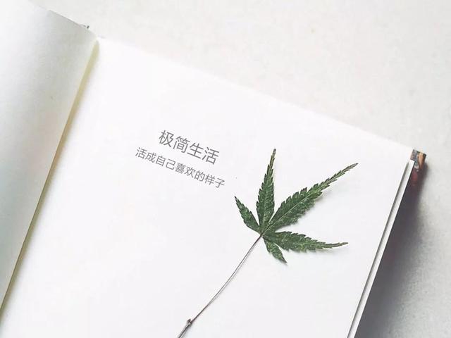 闲置的东西不要扔掉,闲置的物品不要丢