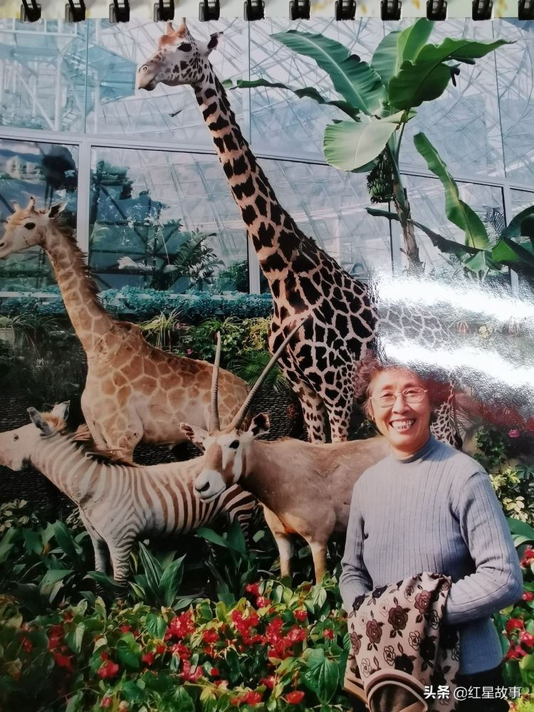 追忆我的父亲母亲,怀念我的父亲和母亲