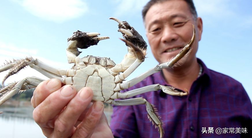 全国哪里的大闸蟹最好,哪里的大闸蟹最出名最好吃