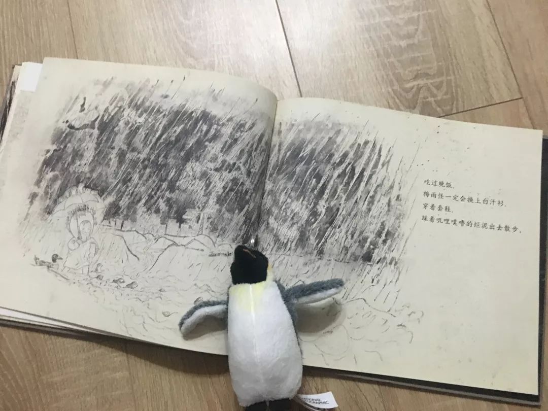 这8套大师级的中国原创绘本，用动画般的画面让孩子目不转睛