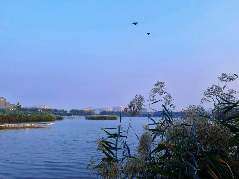 南开大学滨海学院天津排名,天津曾经的滨海学院