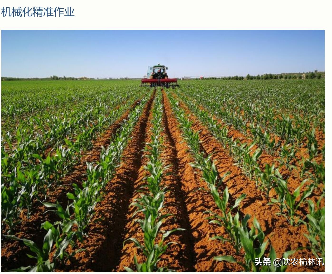 草比粮贵的启示——陕西大地种业(集团)有限公司采风有感