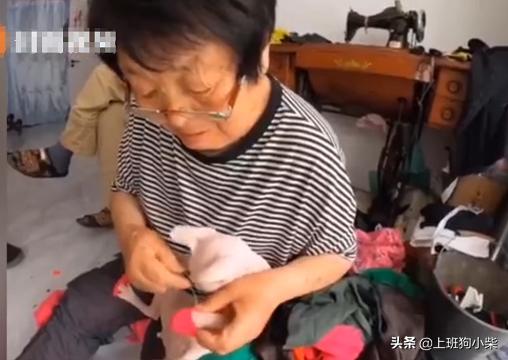 东北奶奶第一次见无毛猫,老奶奶给无毛猫织毛衣
