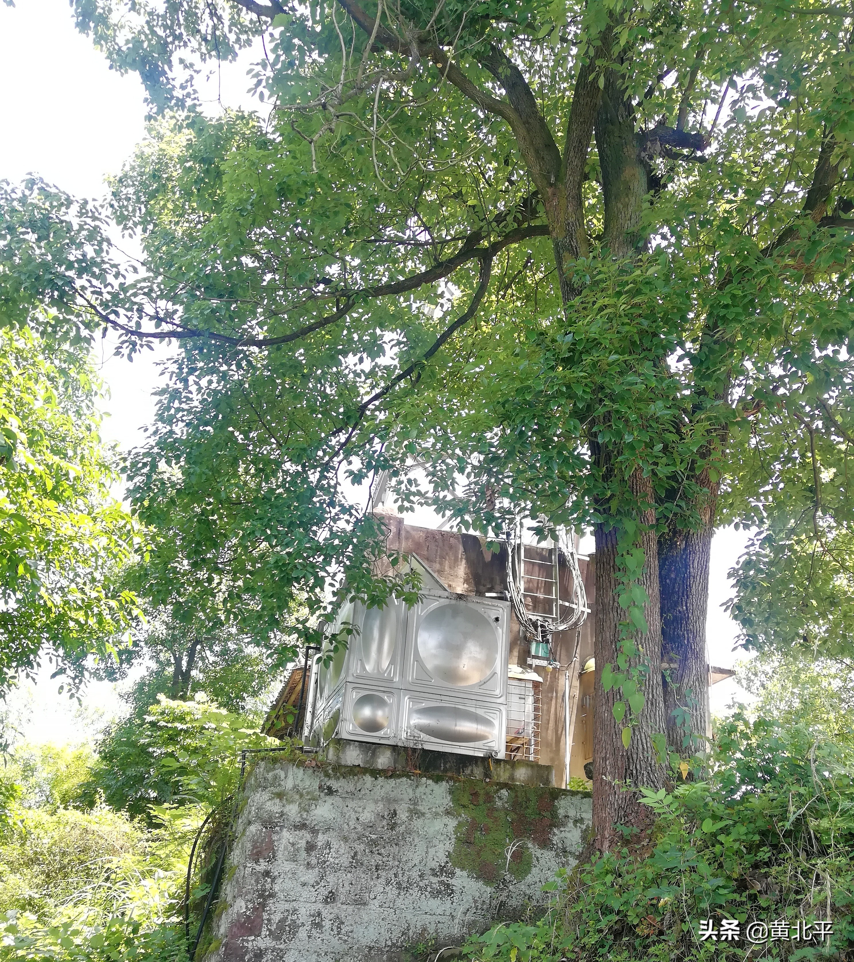 北碚深山寺庙,深山密林的神秘古刹
