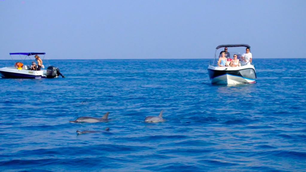 毛里求斯陈小春,毛里求斯马克吐温