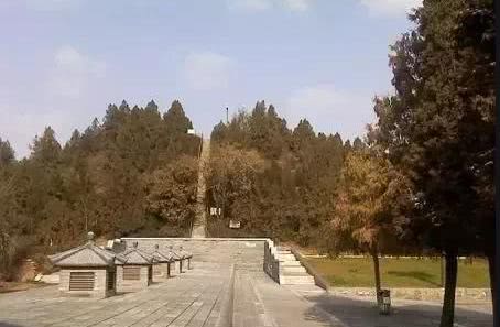 走遍郸城,走遍每一座城市