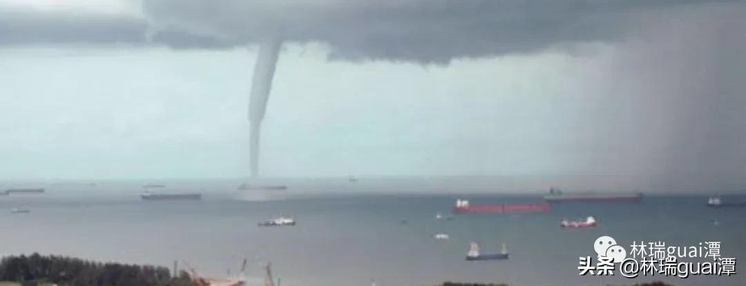 龙真实存在吗天涯论坛,龙真实存在的神评论