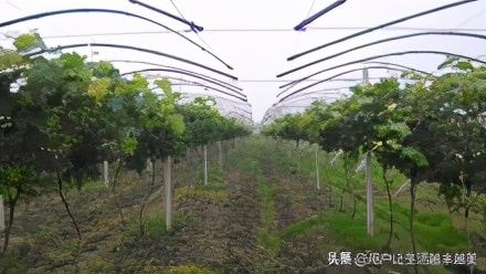 合肥美丽的地方有哪些,合肥是个好地方吗