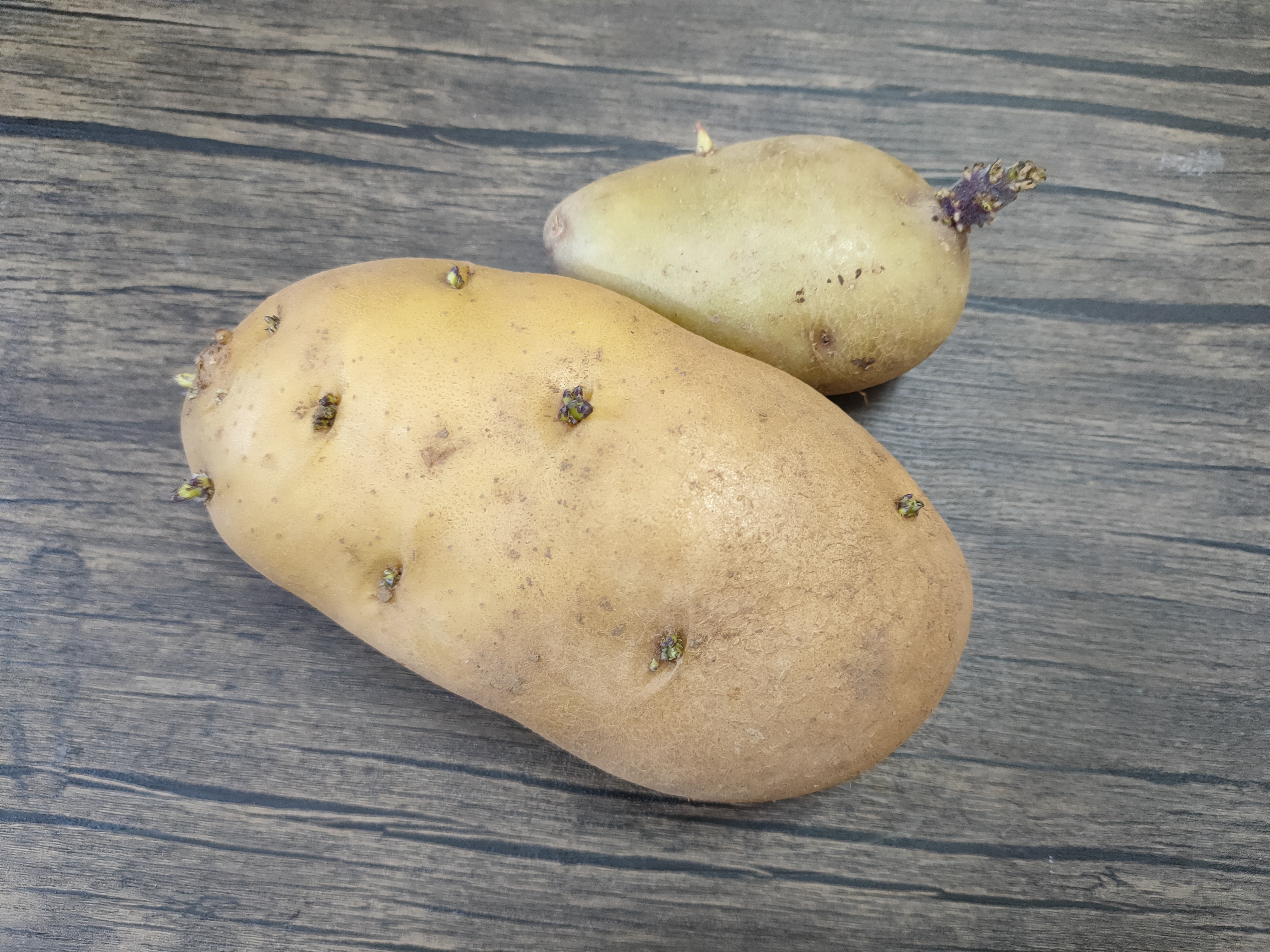 保存土豆怎样不发芽,保存土豆怎么保存不发芽