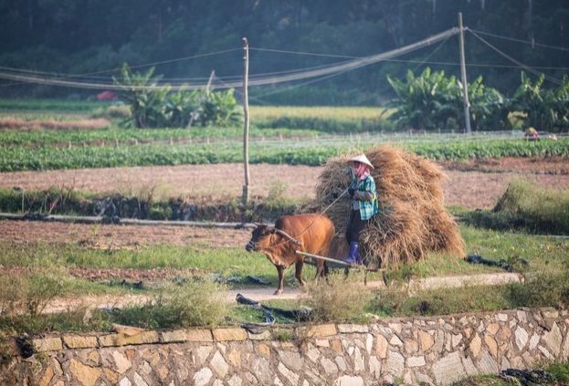 广州地铁13号线沿线风景,一路风景一路歌抖音完整版