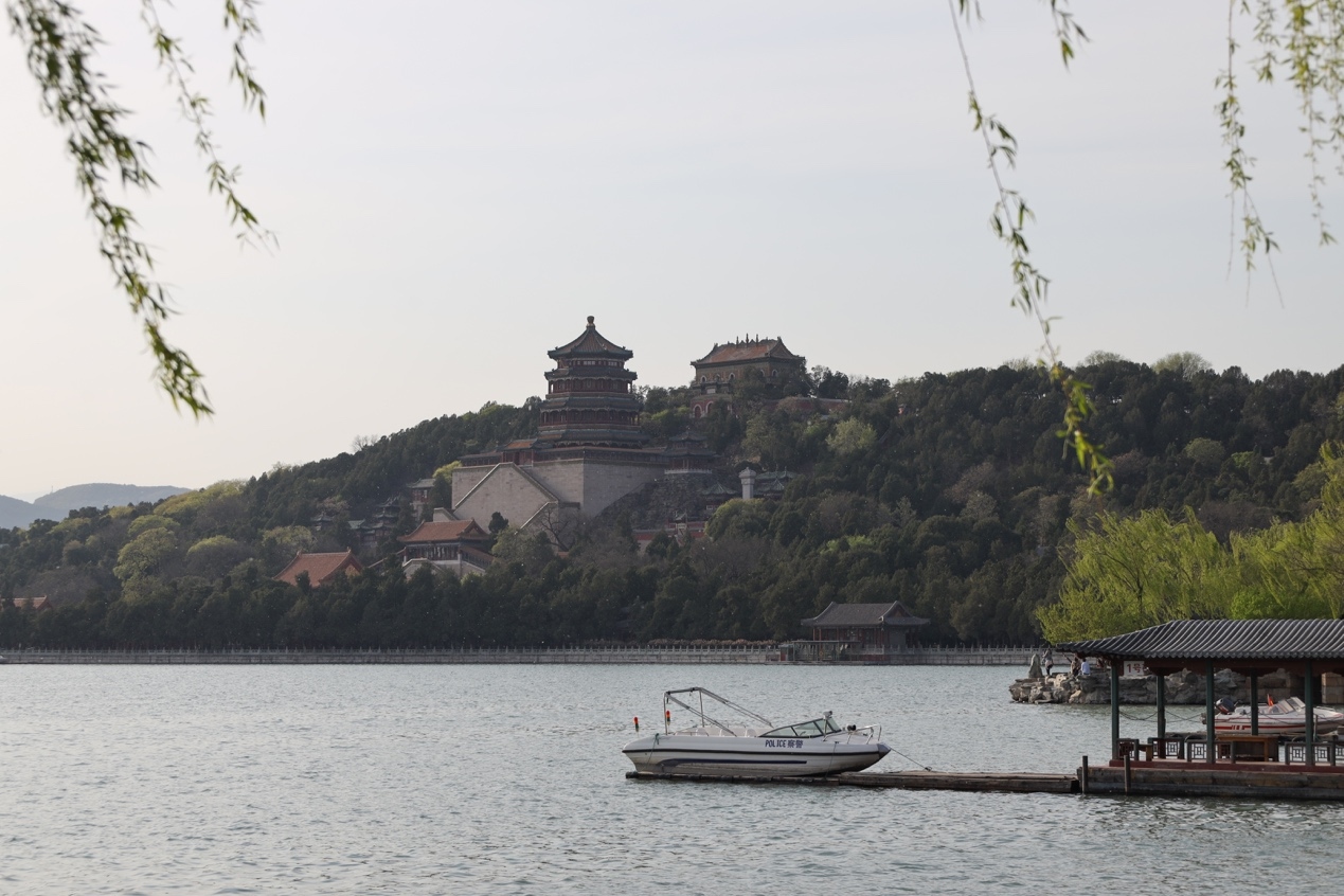 佳能rf镜头性价比高的推荐,佳能rf广角镜头最便宜的推荐