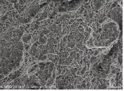 螺栓断裂和热处理的关系,螺栓断裂断口分析及原因