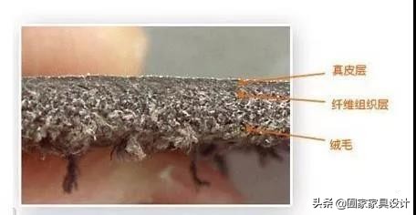 家具头层牛皮知识,家具面料知识讲解