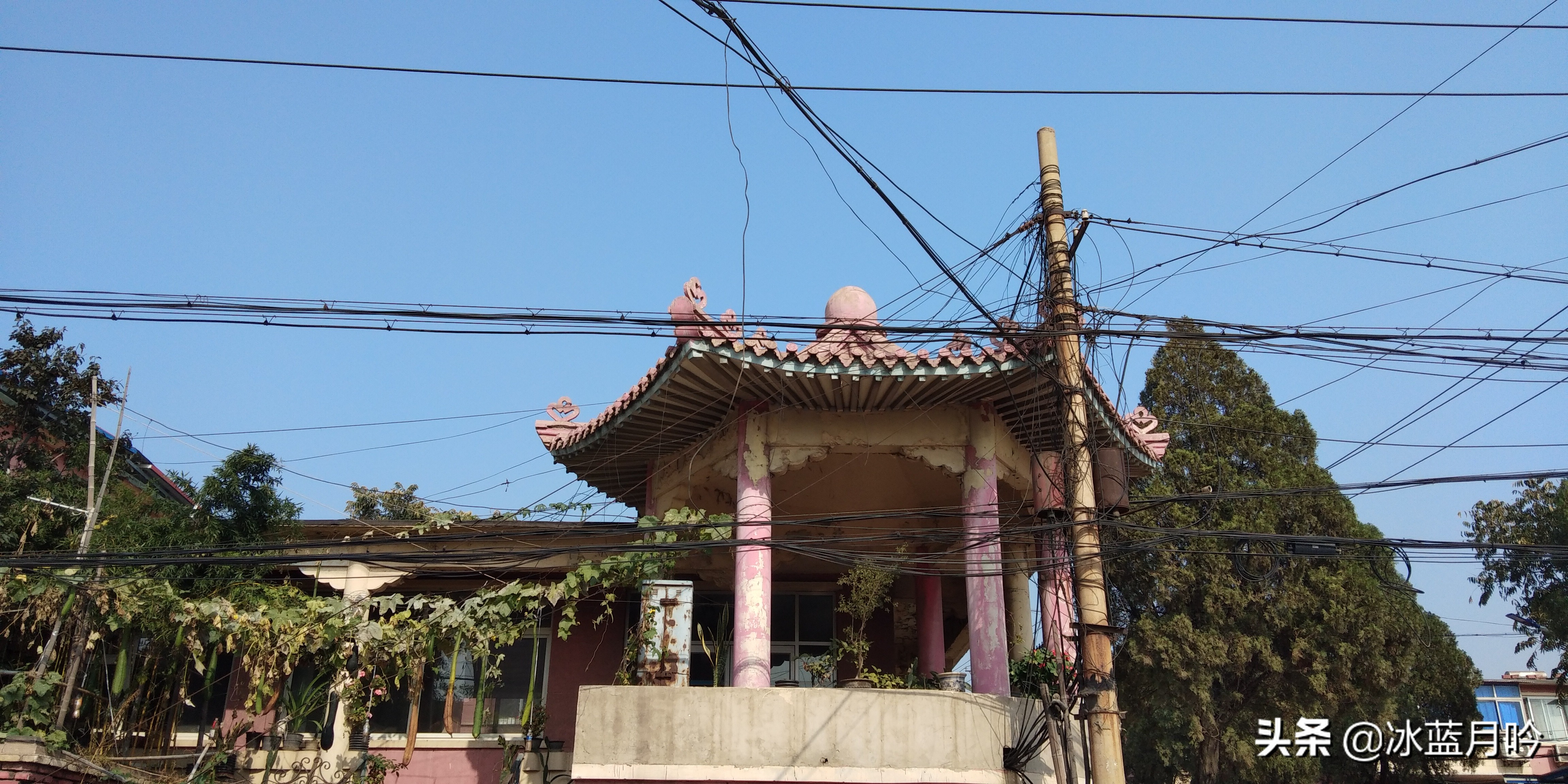 鍞愬北鏋楄タ鑰佽,鎺㈠鍘嗗彶瓒宠抗閲嶆俯宄ュ禈宀佹湀