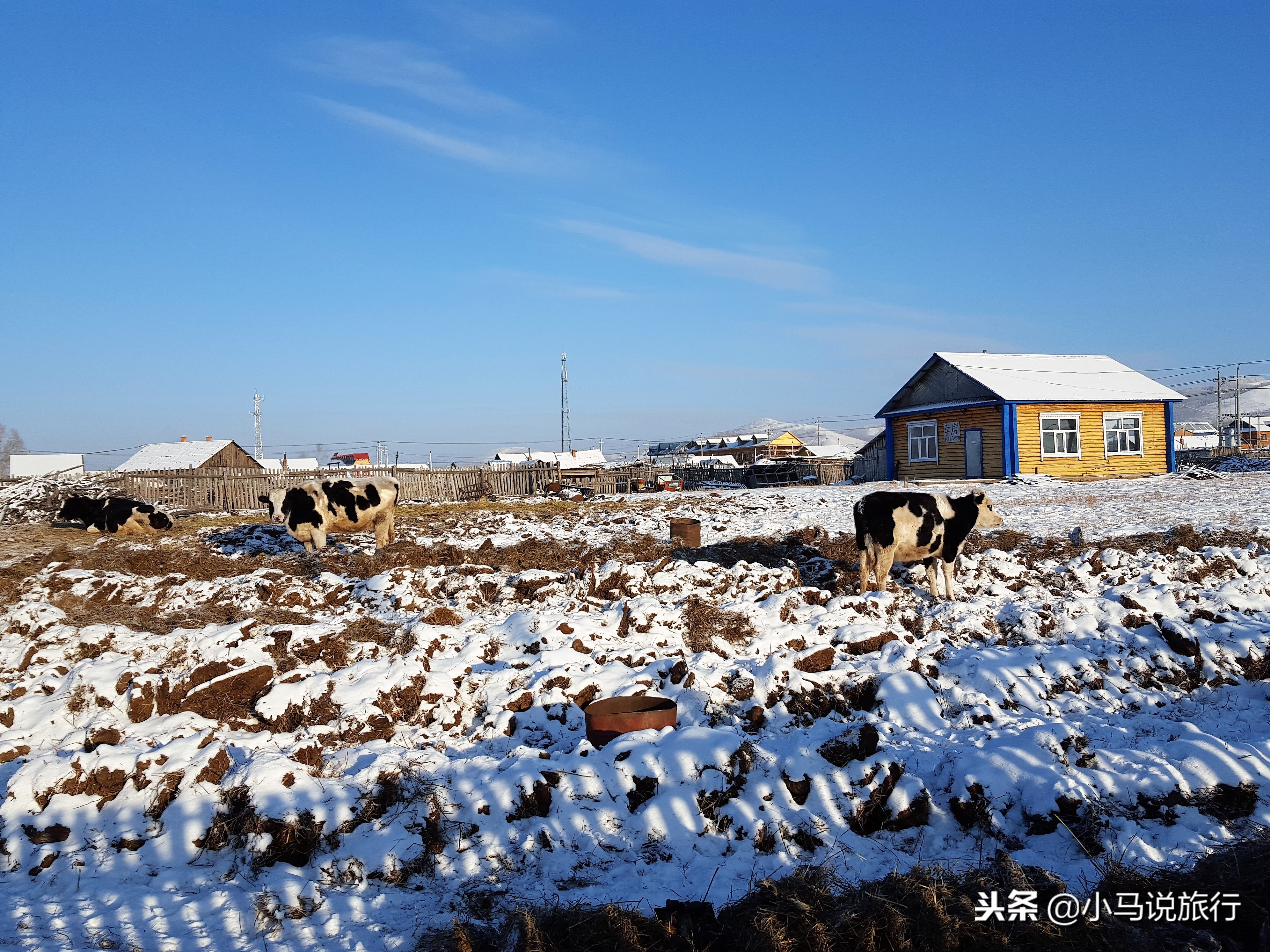 东北零下40度买雪糕,东北零下30度买雪糕
