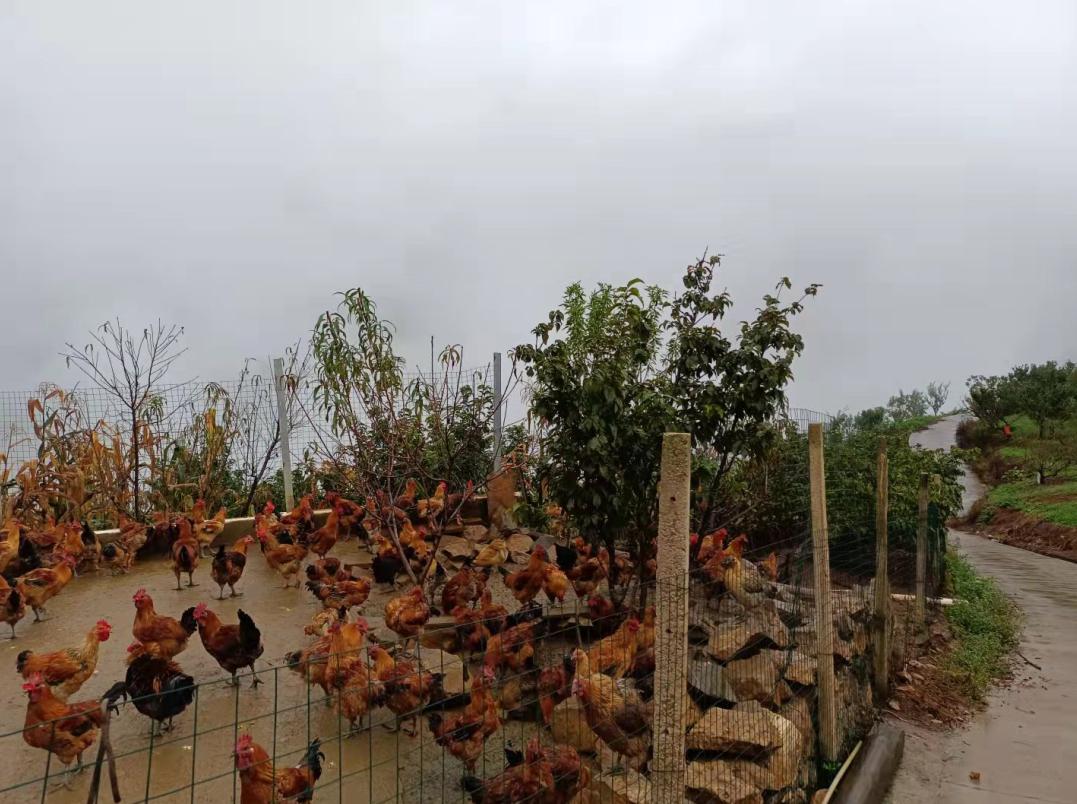 有信心能成就大事,有信心干好工作