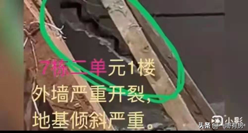 开发商打业主后续,开发商被业主打